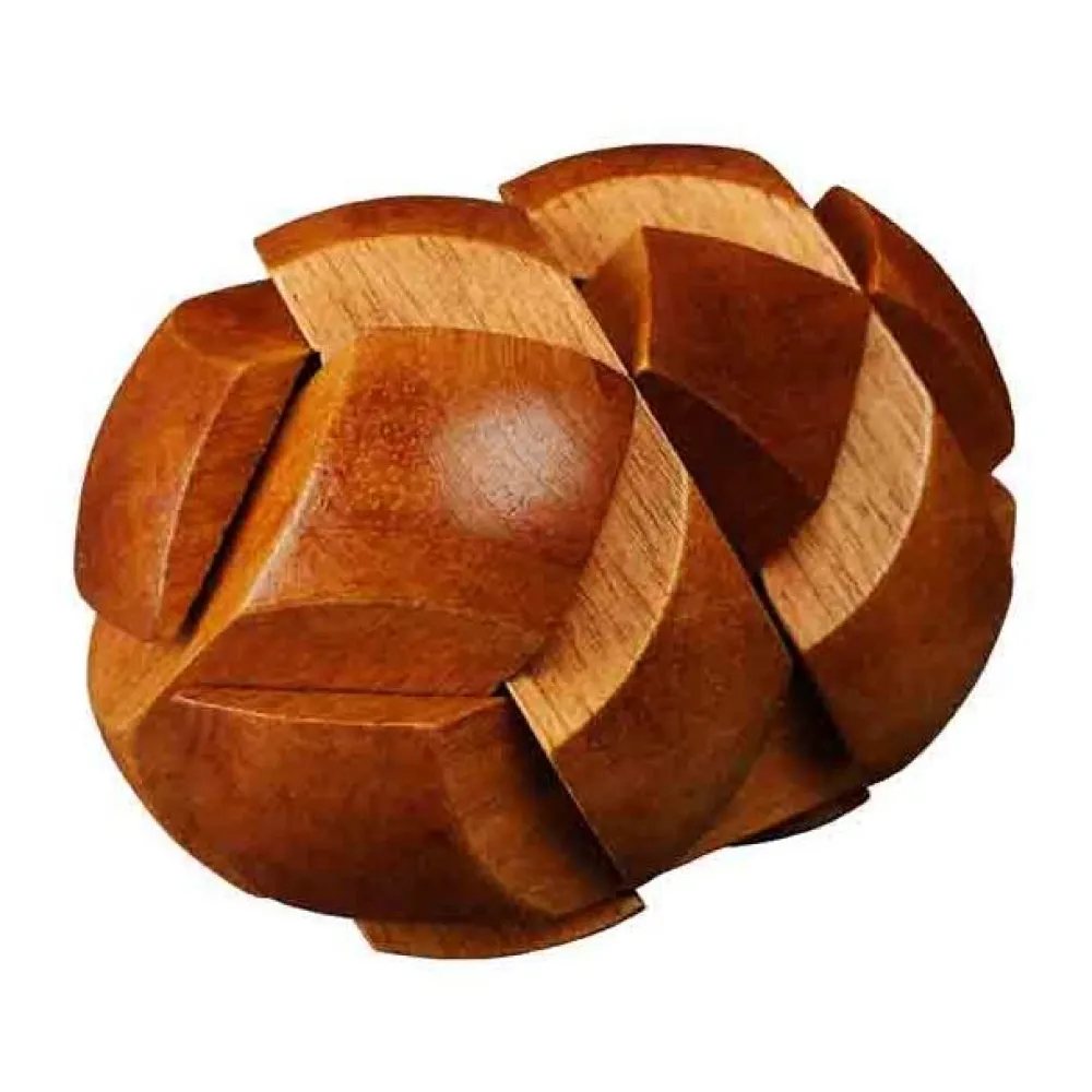 Professor Puzzle Great Minds: Darwin''S Dinosaur Egg Of Evolution| Knep & Knåp