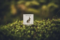 New Ninja Print Skogen