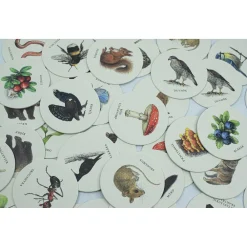 Best Sale Ninja Print Skogen Memory