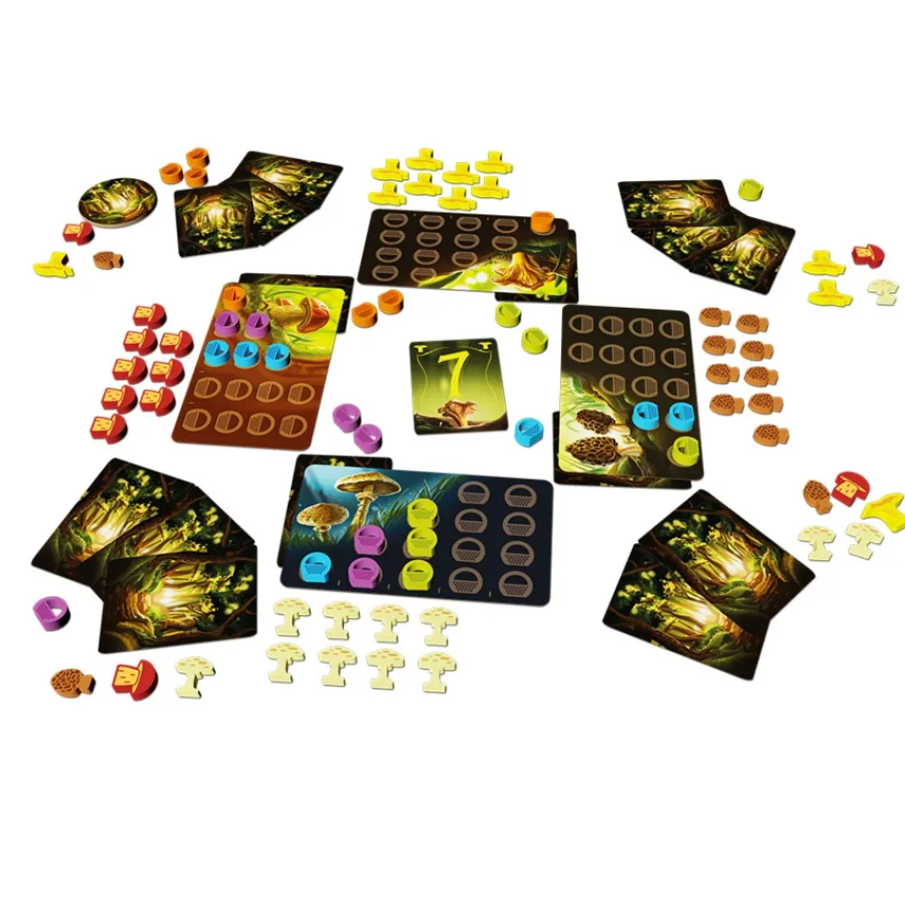 Outlet Blue Orange Wonder Woods